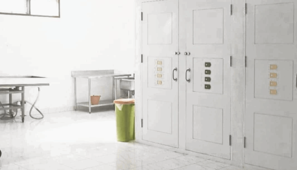 Freezer with Special Technology