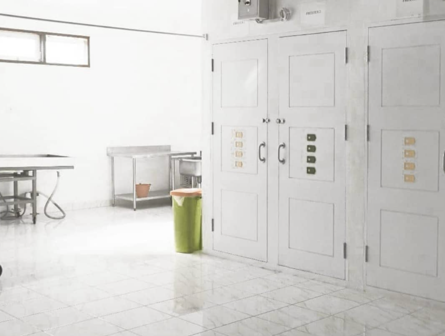 Freezer with Special Technology